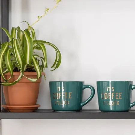 Tina In Centar With Parking 公寓 *